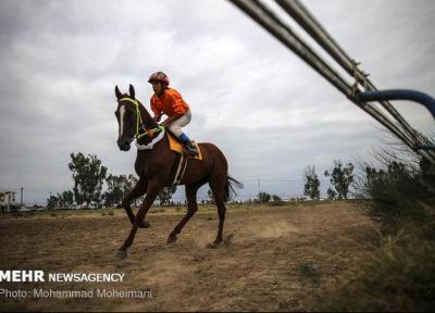 مسابقات اسب دوانی منطقه جنوب کشور در یاسوج برگزار گردید