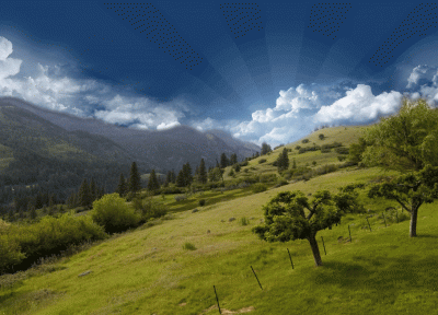 گشتی 6 هفته ای در قرقیزستان