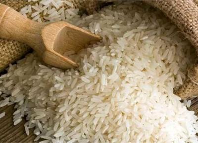 قیمت برنج تایلندی کاهش یافت