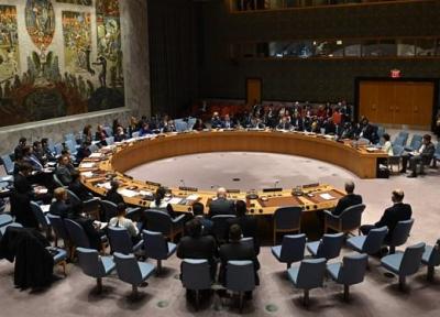 روسیه و چین قطعنامه نقض کننده حاکمیت سوریه را وتو کردند