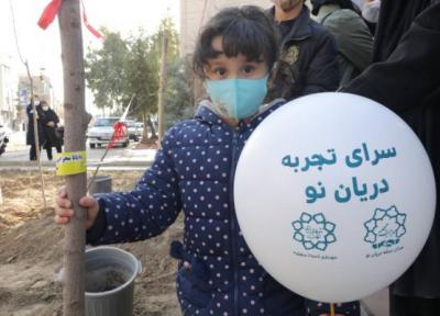 *سرای تجربه گامی برای ایجاد شهر دوستدار سالمند*