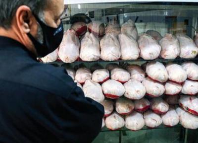 فروش عمده مرغ گرم در واحدهای صنفی خراسان جنوبی ممنوع است