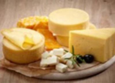 آیا خوردن پنیر برای شما مفید است؟