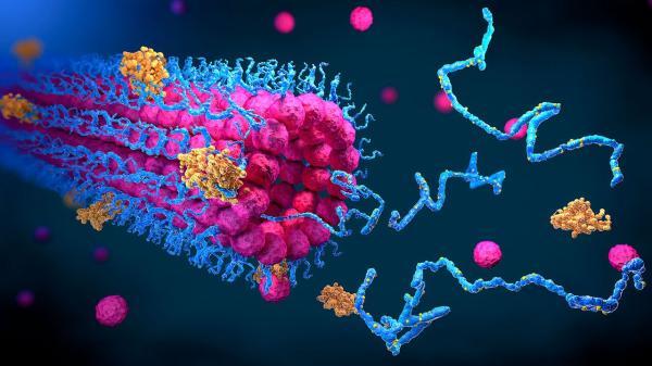دانشمندان روی ساختار اتمی پروتئین های مصنوعی تمرکز می نمایند