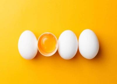 خواص تخم مرغ و عوارض آن ، طبع، مصلح، کالری و اندازه مجاز مصرف