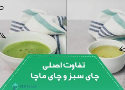 6 تفاوت اصلی چای سبز و چای ماچا