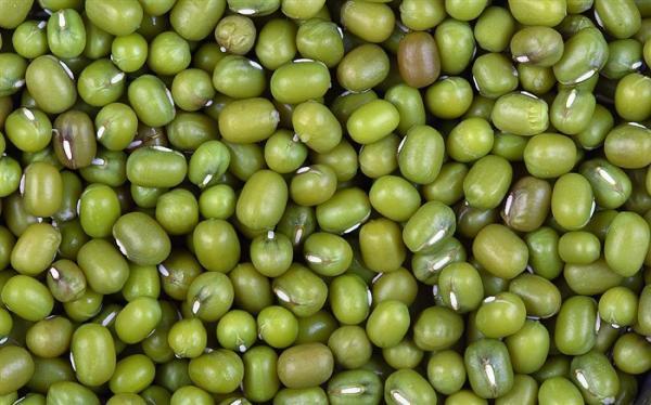 درباره مضرات ماش چه می دانید