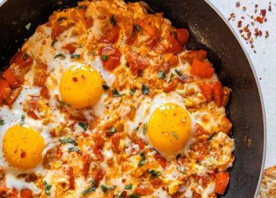انواع املت ، طرز تهیه 30 مدل املت ایرانی و خارجی مثل کافه